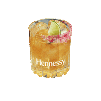 Alcohol Cocktail Sticker by HennessyUS