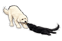 Fun Love Sticker by abana a cauda