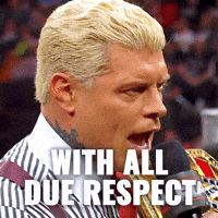 I Respect You Cody Rhodes GIF by WWE