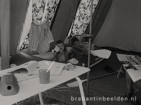 Summer Beach GIF by BrabantinBeelden