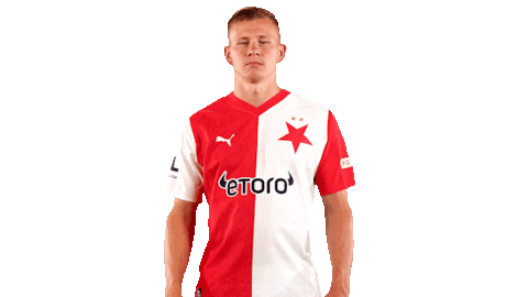 Football Soccer Sticker by SK Slavia Praha