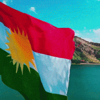 Flag Al GIF
