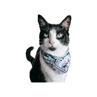 Nightmare Before Christmas Cat Sticker by Geekster Pets