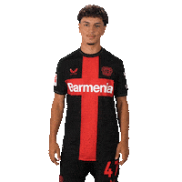 Bayer 04 Win Sticker by Bayer 04 Leverkusen