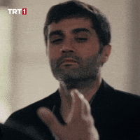 Greeting Tolga Saritas GIF by TRT