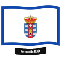 Castilla-La Mancha Bandera Sticker by Formación Ninja