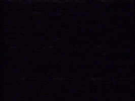 Vhs Software GIF by Squirrel Monkey