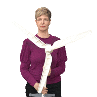 WibkeBrems windmill gruene landtagswahl landtag Sticker