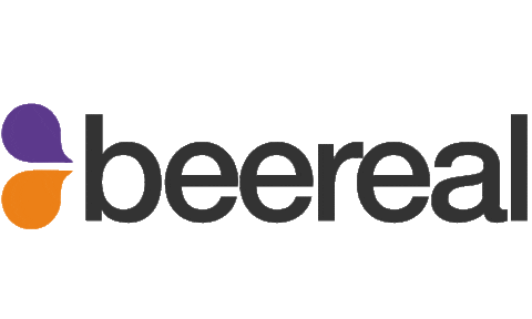 Beereal Colores Sticker by BeeReal