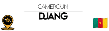 Nn Cameroon Sticker by NoirNomads