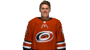 Jake Gardiner Sticker by Carolina Hurricanes