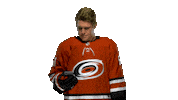 Jake Gardiner Sticker by Carolina Hurricanes