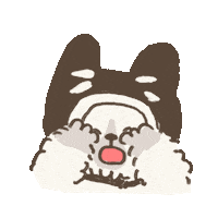 runa_ibaraki hello ok thank you cats Sticker