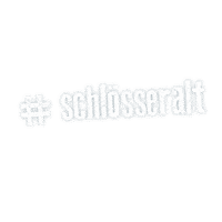 Schloesser_Alt party drink beer cheers Sticker