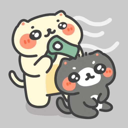 Cat Love GIF