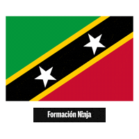 Saint Kitts And Nevis Flag Sticker by Formación Ninja