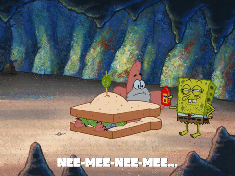 season 5 the inmates of summer GIF by SpongeBob SquarePants