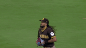 Celebrate San Diego Padres GIF by MLB