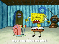 season 4 bummer vacation GIF by SpongeBob SquarePants