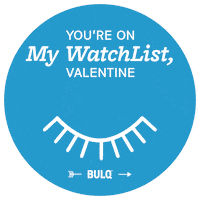 Bulqwholesale Sticker by BULQ