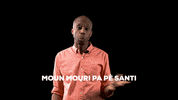 Haitian Flag GIF by Bernardson