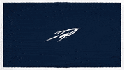 Toledo Swim And Dive GIF by Toledo Rockets
