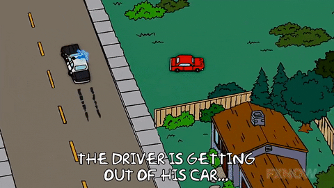 Episode 7 Police Chase GIF by The Simpsons