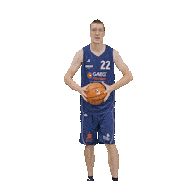 Bensheim Sticker by VfL Basketball