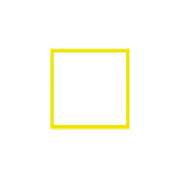 Sport D Sticker by DIMERS.COM