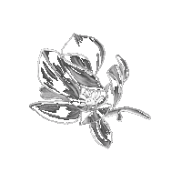 Flower Plant Sticker