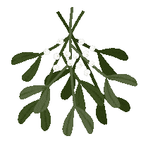 Merry Christmas Sticker