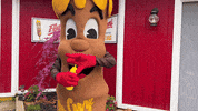 Hungry Corn Dog GIF by Fletcher’s Corny Dogs