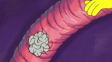 season 9 gary's new toy GIF by SpongeBob SquarePants