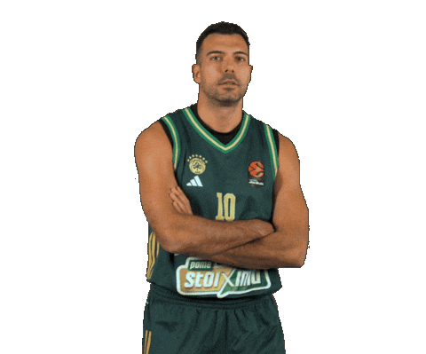 Kostas Sloukas Pao Sticker by Panathinaikos BC
