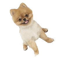 Sticker by Barking Well