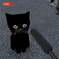 slujgiphy bro sluj bro gif slujart GIF