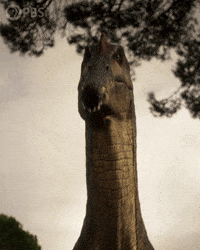 Teeth Dinosaur GIF by PBS