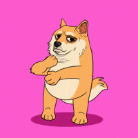 Posing Feeling Myself GIF by Doge Pound