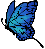 Blue Butterfly Sticker