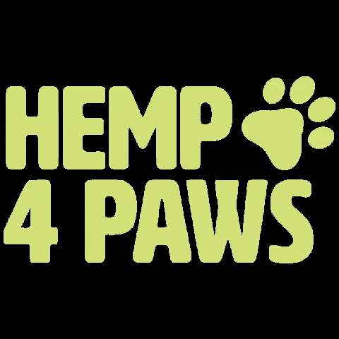 Hemp4Paws giphygifmaker hemp 4 paws GIF