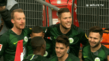football party GIF by VfL Wolfsburg