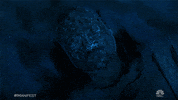 Season 3 Nbc GIF by Manifest