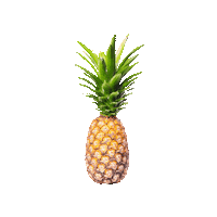 Pineapple Sticker by Shelly Saves the Day