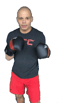 Knockout Boxing Sticker by Duncan's Training Center