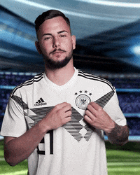 sportschau sticker germany uefa deutschland GIF