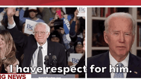 Bernie Sanders GIF by Election 2020