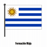 Flag Bandera GIF by Formación Ninja