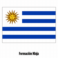 Flag Bandera GIF by Formación Ninja