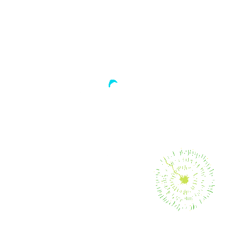 Cape Coral Sticker by Wicked Dolphin