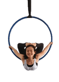 Cobra Lyra Sticker by Starz Aerial